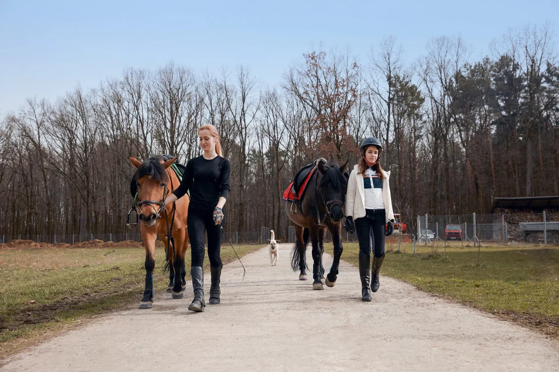 Children learning essential skills of taking care of a horse