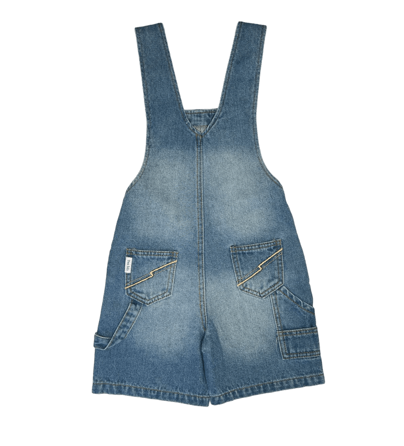 Back of  Blue denim overall  on a white background