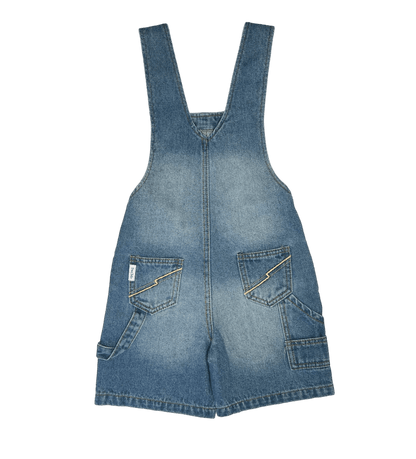 Back of  Blue denim overall  on a white background